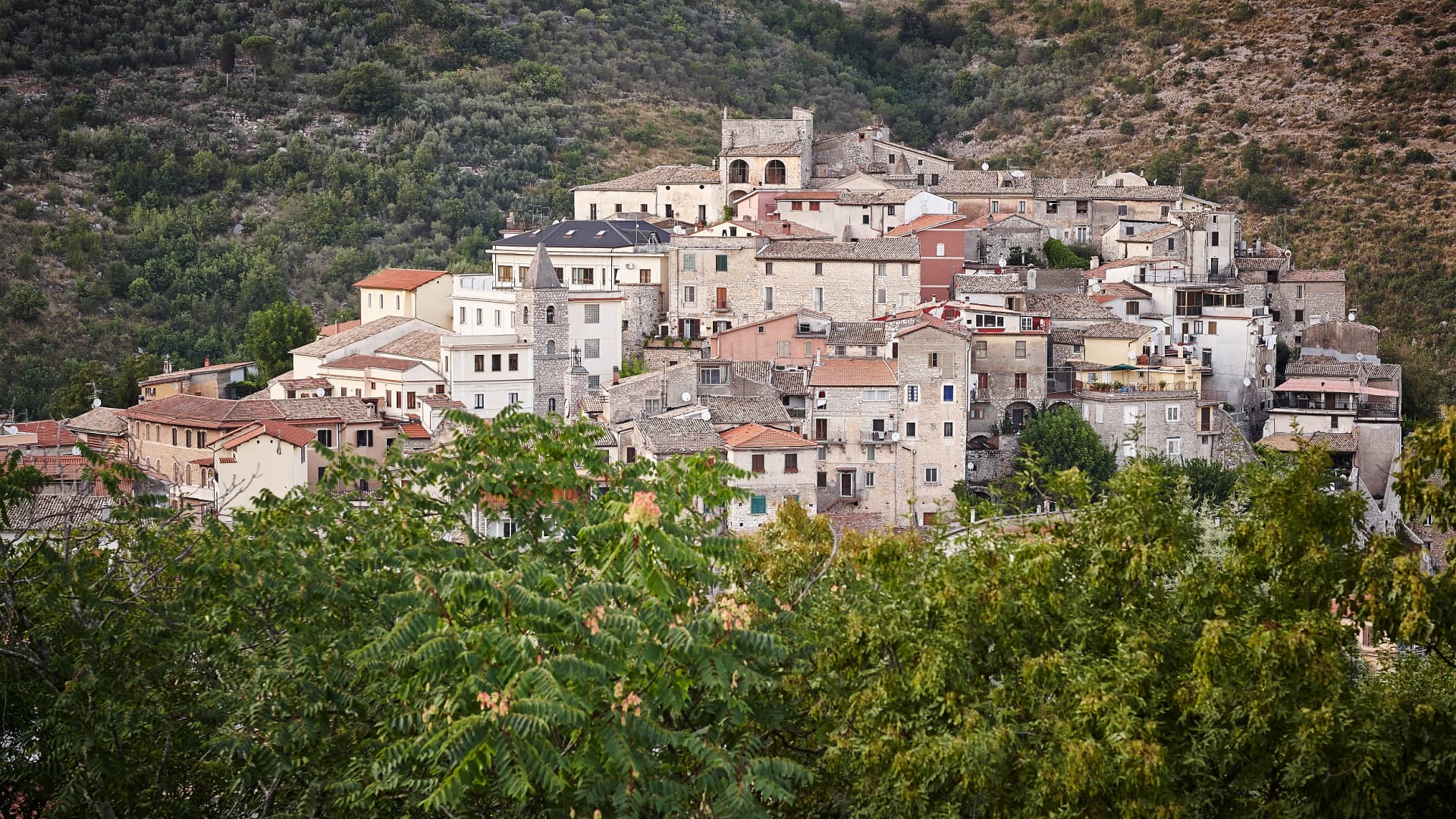 Campomidele, Lazio, is home to roughly 550 residents and thousands of Itrana olive trees. (Photo_ Carroccia Campodimele)