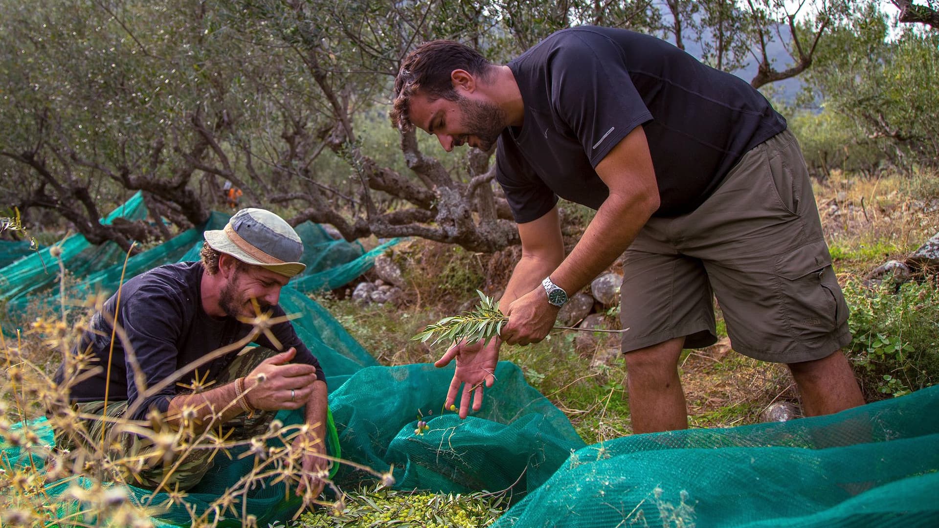 Nikolas Phlippidis and Yiorgos Moforis co-founded Hellenic Fields in 2012. (Photo: Hellenic Fields)