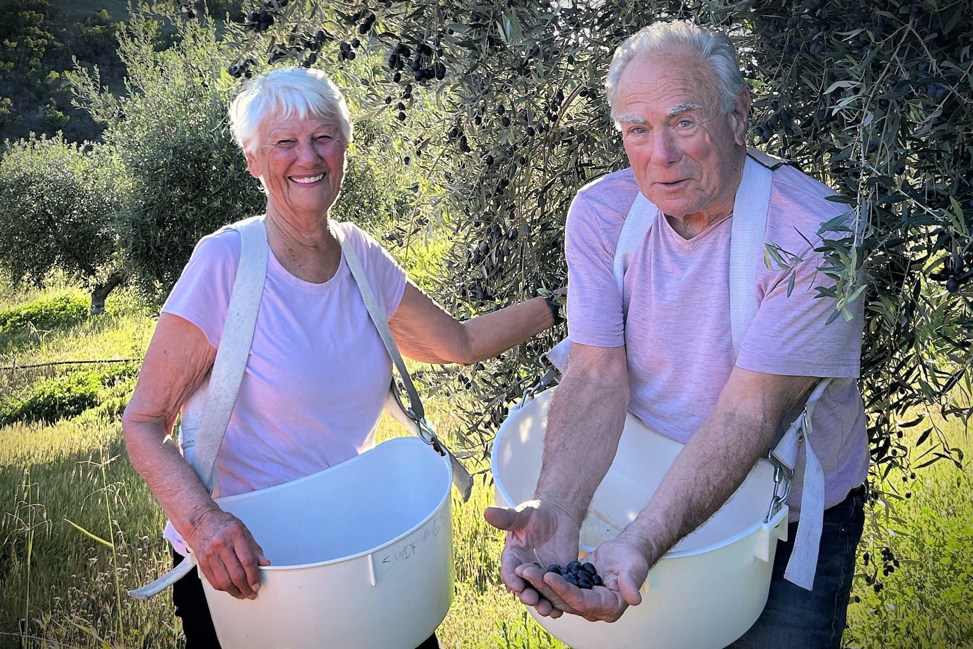 Richard and Myrna Meisler started San Miguel Olive Farm in their 60s. (Photo: San Miguel Olive Farm)