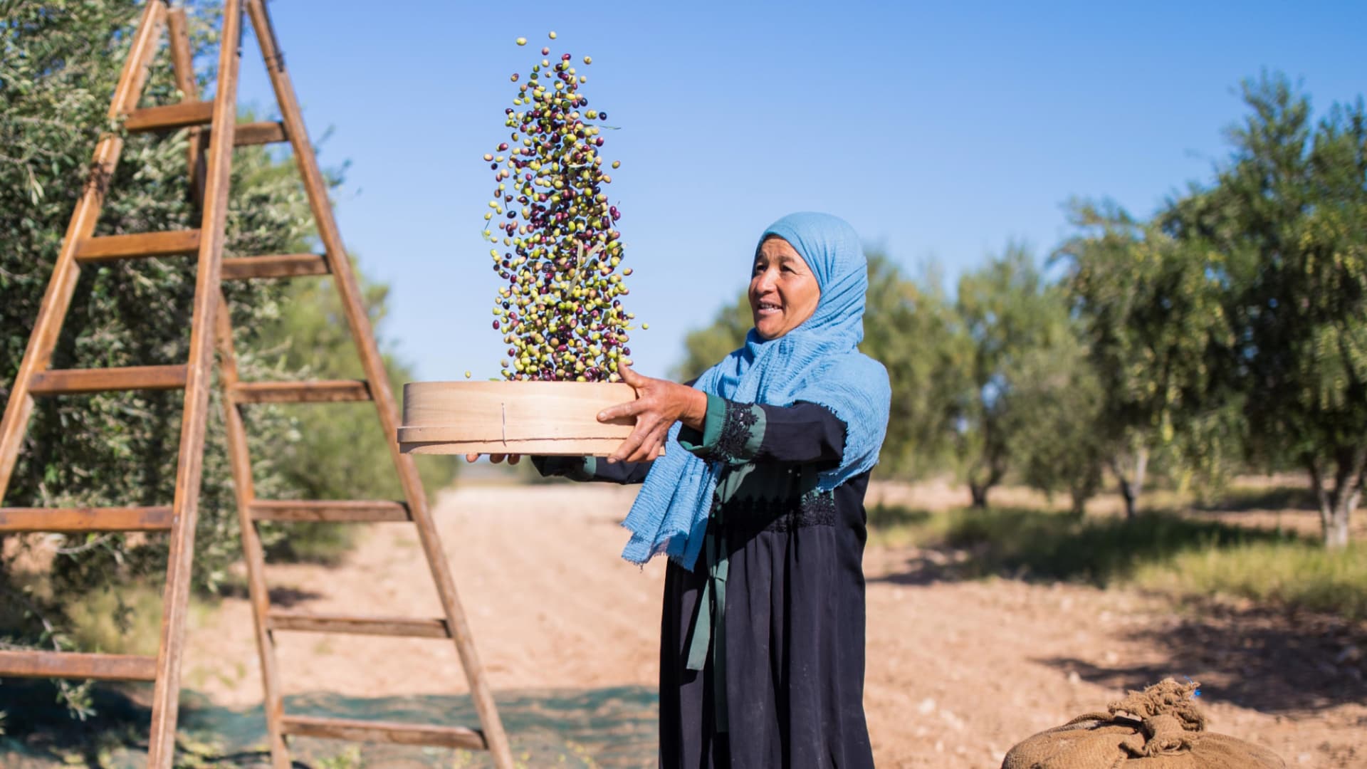 Olyfo earned a Silver Award for its medium-intensity blend of Koroneiki, Arbequina, Arbosana and Chemlali olives. (Photo: Olyfo)
