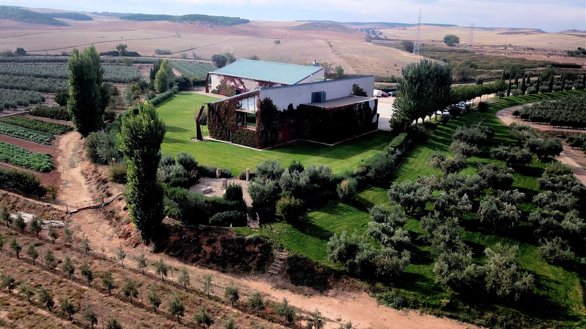 Aceite Artajo cultivates biodiversity by creating habitats for local insects, birds and bats as well as planting other native plant species around the olive trees to fortify the soil. (Photo: Aceite Artajo)