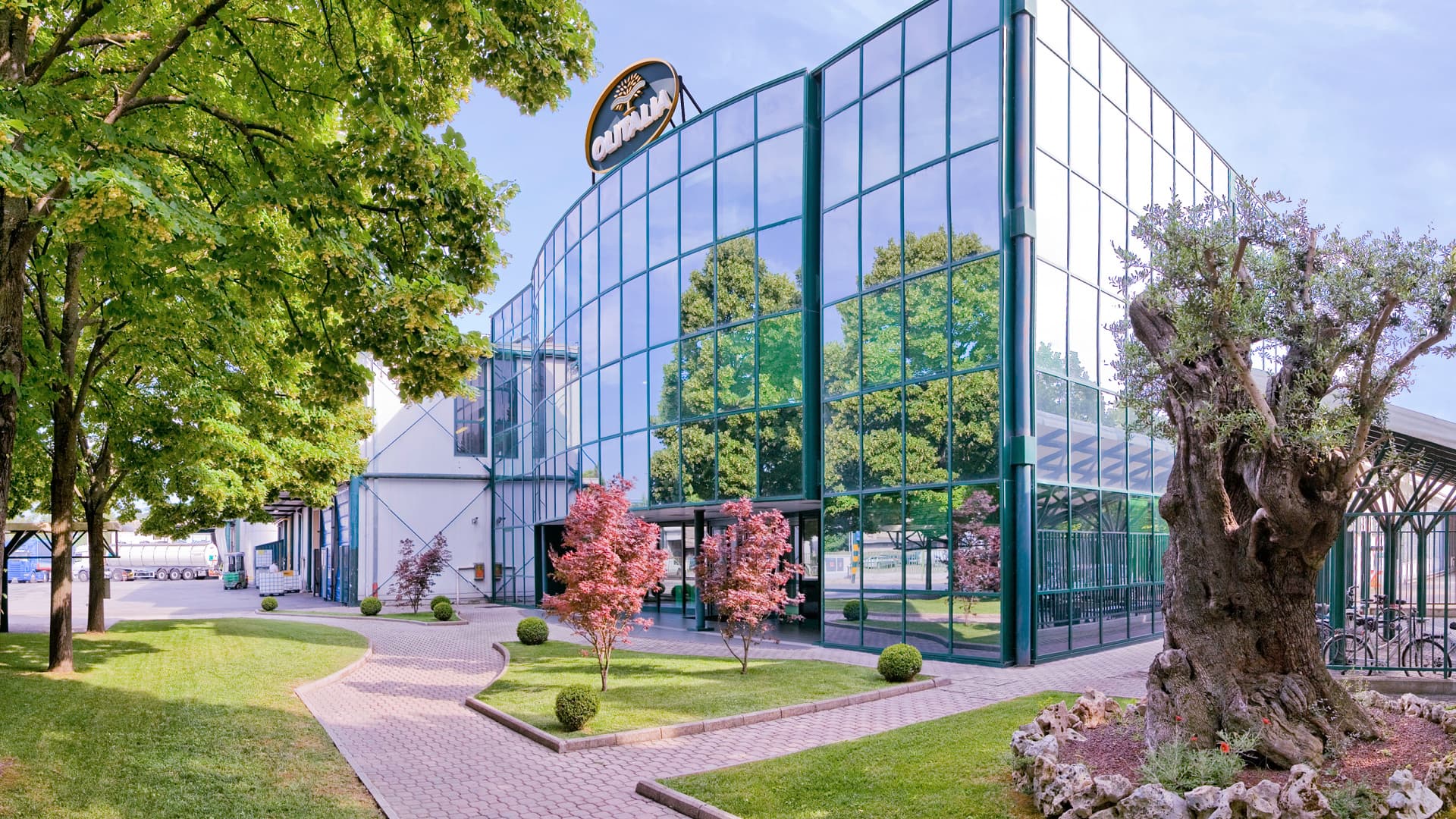 Olitalia, headquartered in Forlì, expects to increase its purchases from Italian producers ahead of a bumper harvest. (Photo: Olitalia)