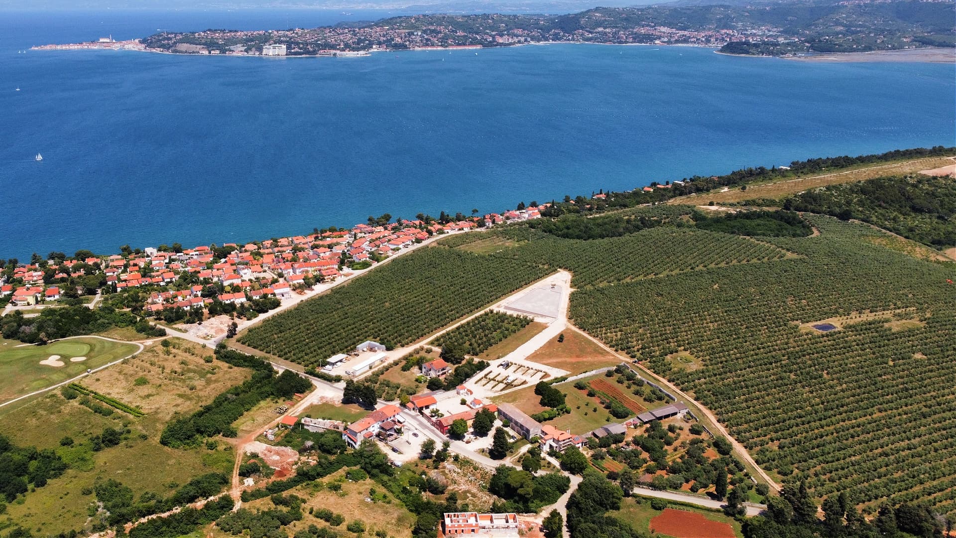 Red Hill’s breezy microclimate and mineral-rich red soils proved ideal.