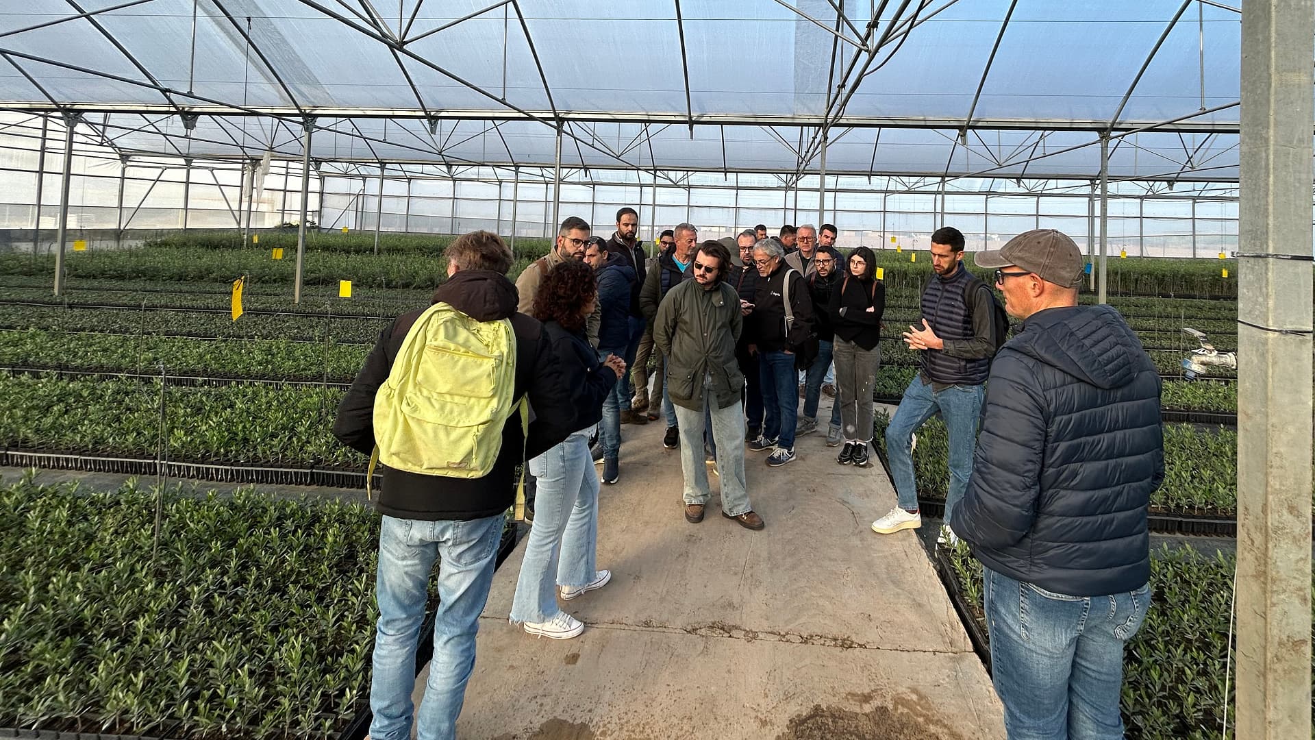 López said the company frequently sells out of its newly-developed varieties indicating their rising popularity among farmers. (Photo: AGR by De Prado)
