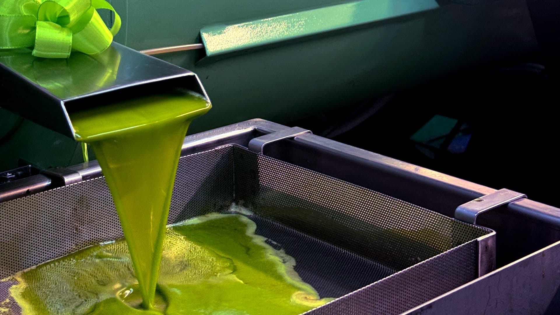 Early harvest oils have more polyphenols.