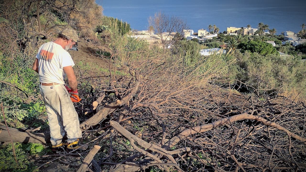 Researchers recognized the project led by Attiva Stromboli as a best-practice model for sustainable soil management on Mediterranean islands.