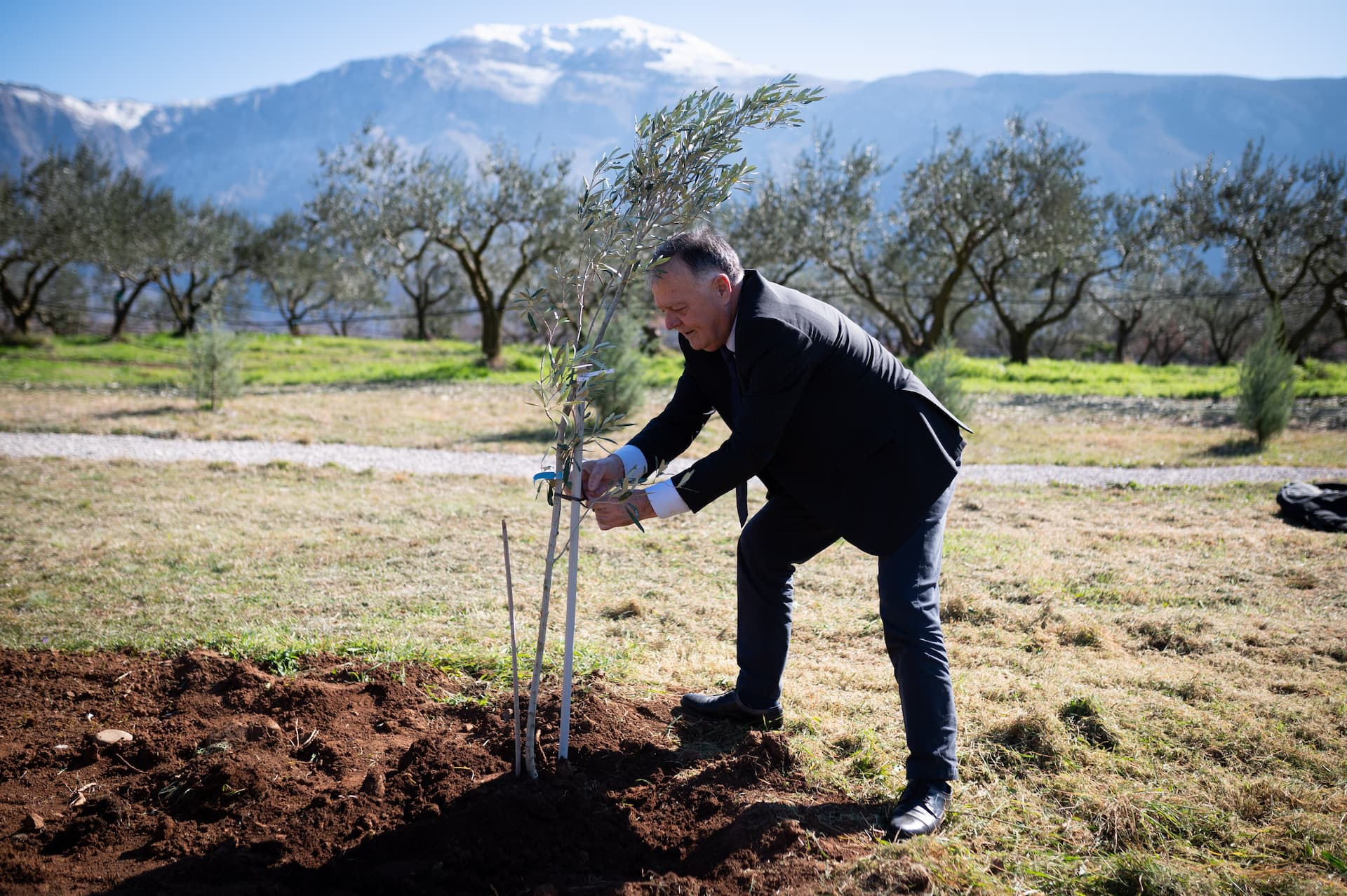 Marko Ivanković, director of the Agromediterranean Institute