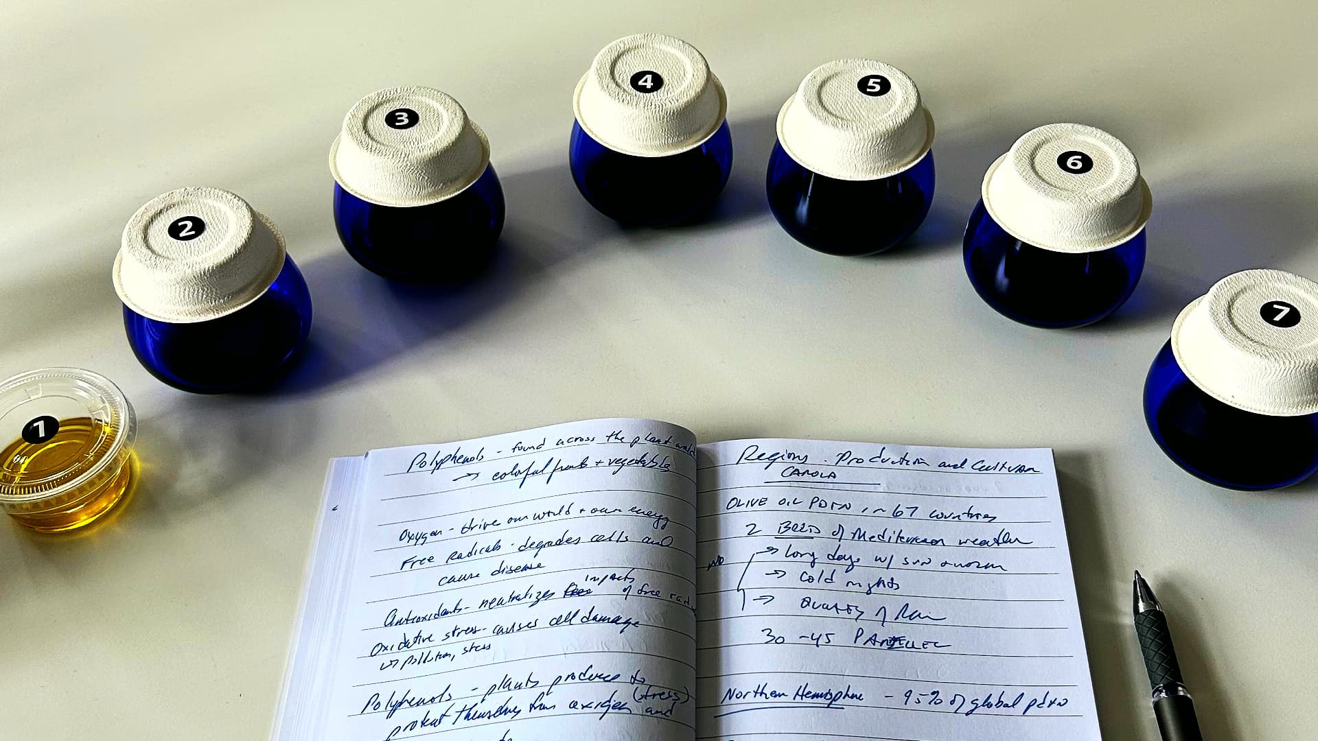 Participants analyzed nearly 100 olive oils from 12 countries during the 5-day program. (Photo: Michael Seder)
