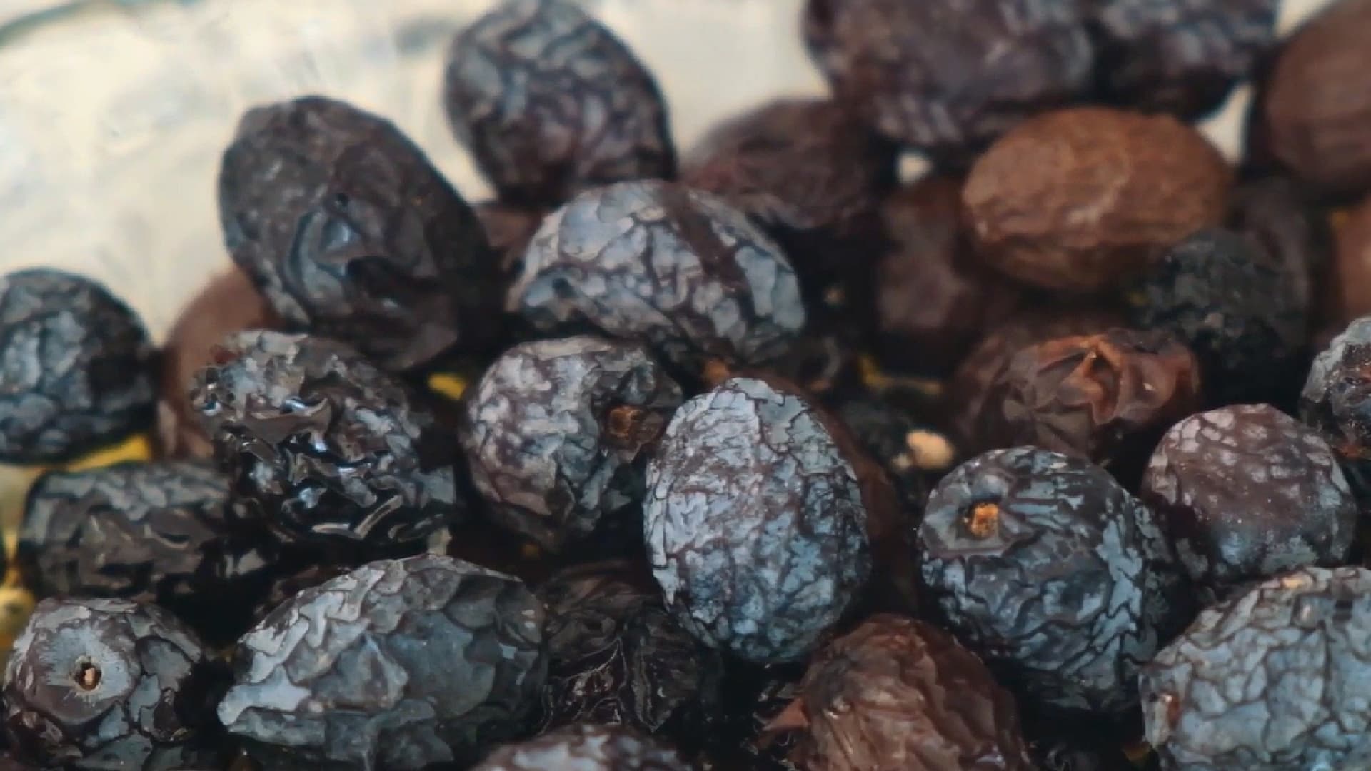 Collected date olives