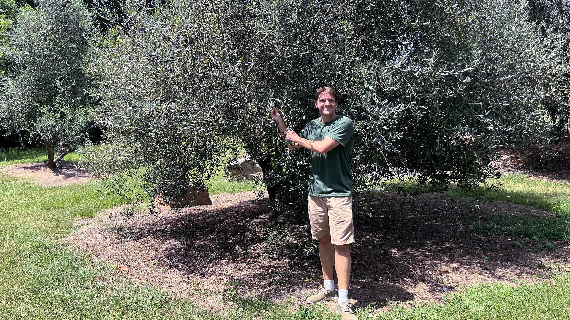 Rafael Sittoni Goelzer said entering oliv eoil competitions and winning awards is a necessary investment to demonstrate quality; show don’t tell. (Photo: Daniel Dawson)