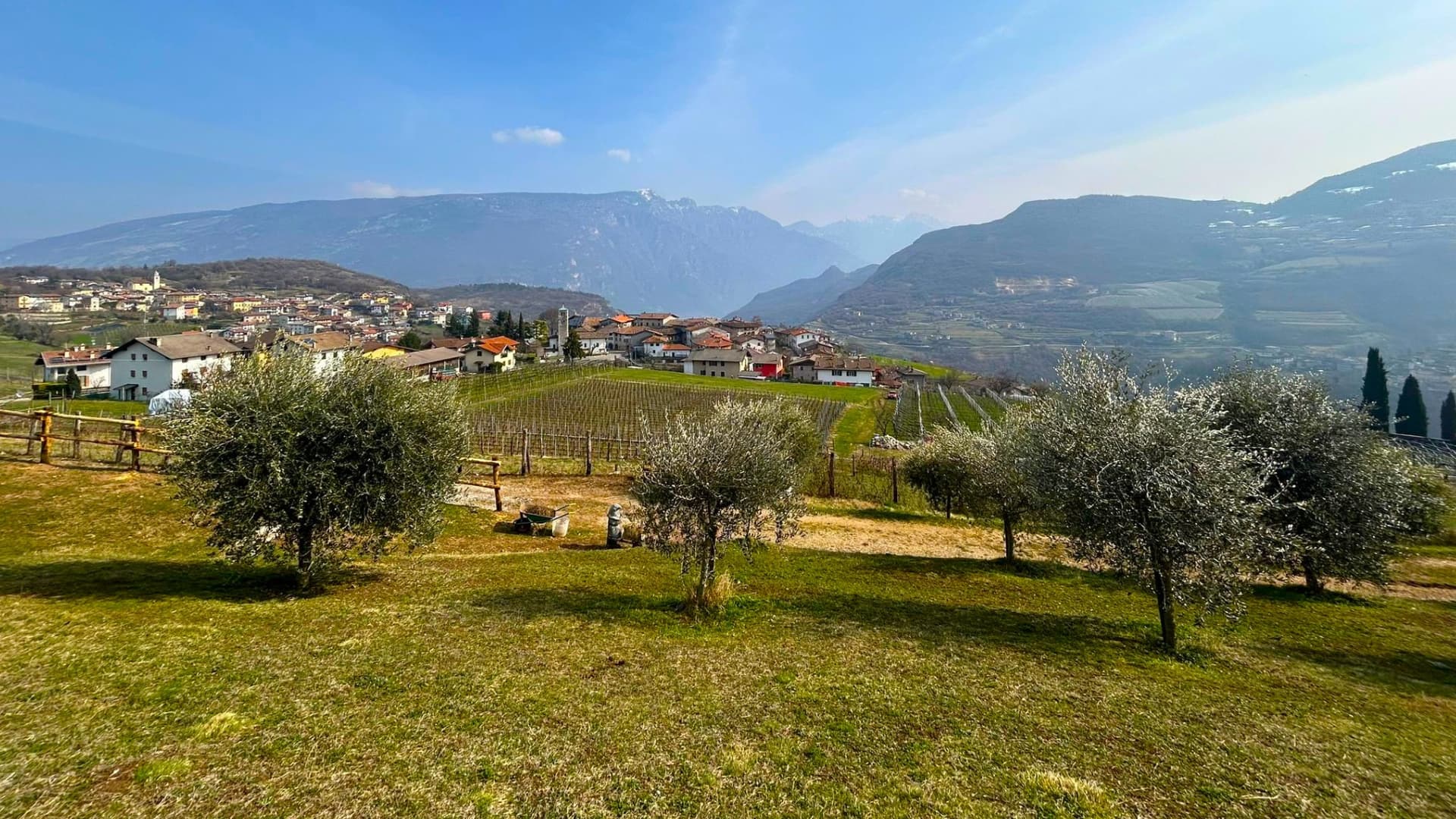 Olive farmers on the Brentonico Plateau aim at expanding production and promote educational events supported by the Slow Food Community for the Culture of Trentino Extra Virgin Olive Oil.