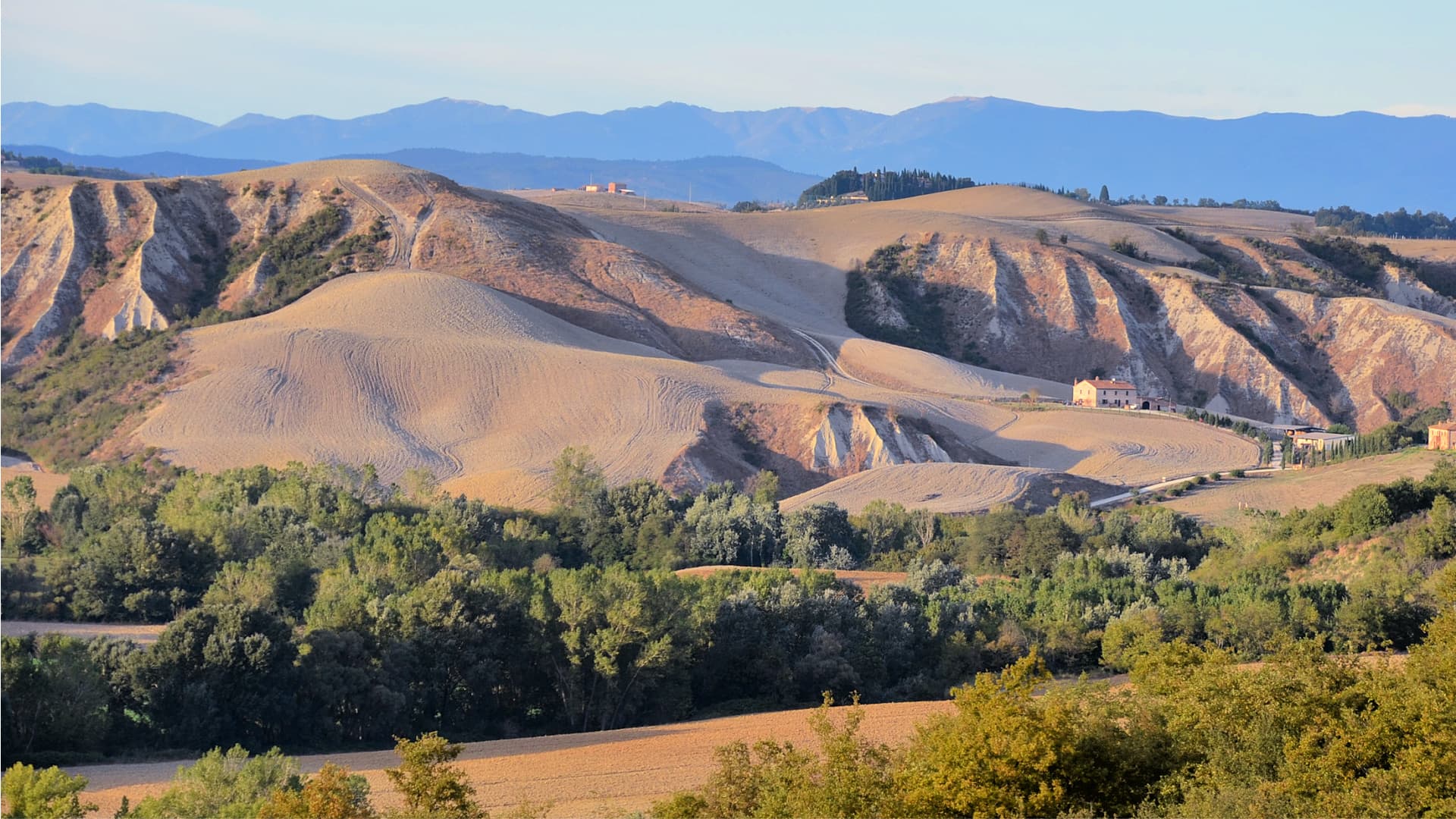 The distinctiveness of the Crete Senesi lies in the warm gray soil with subtly shifting hues, formed by the presence of clay and marine sediments dating back to the Pliocene era.