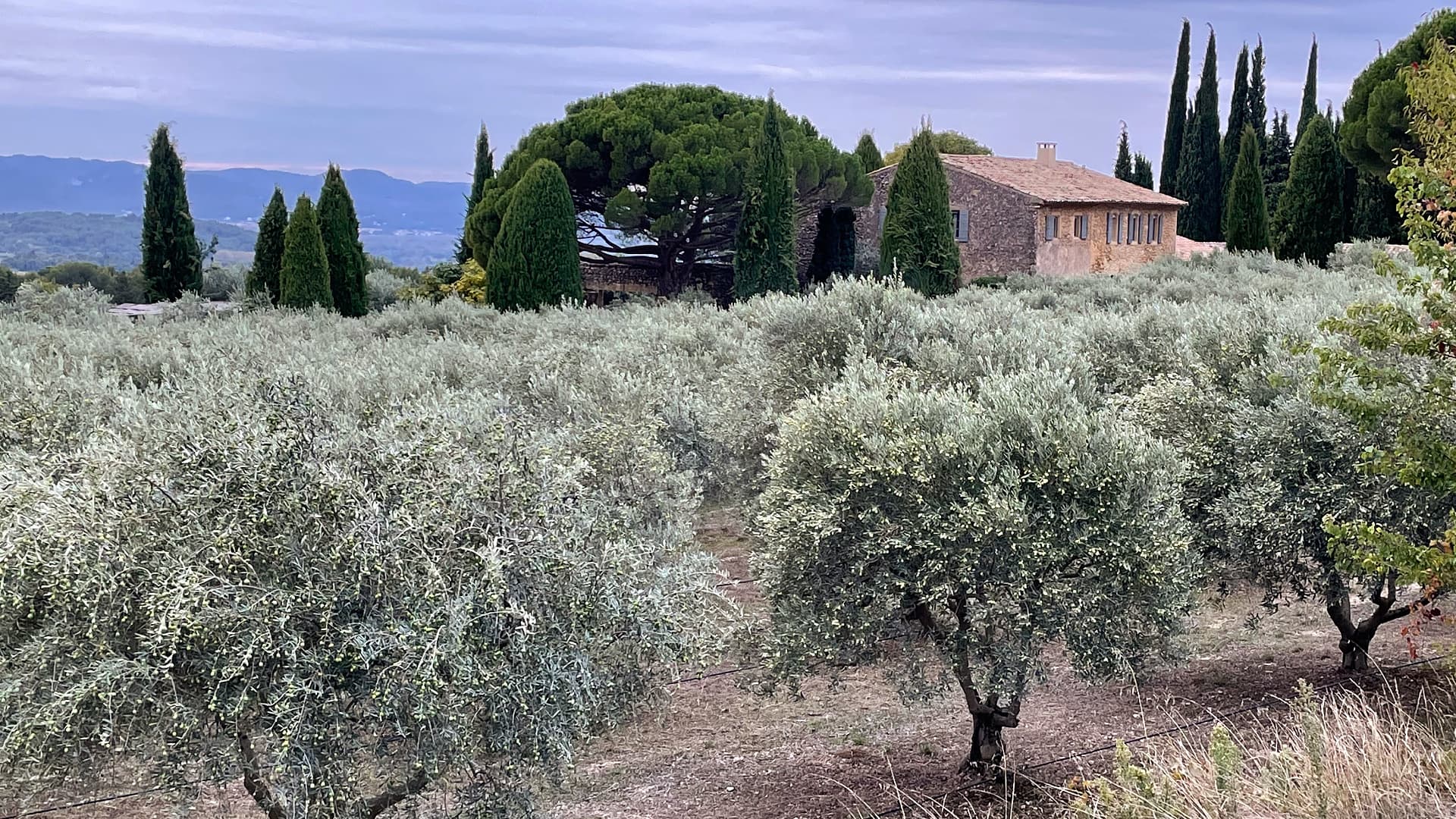 (Photo: Domaine de Gerbaud)