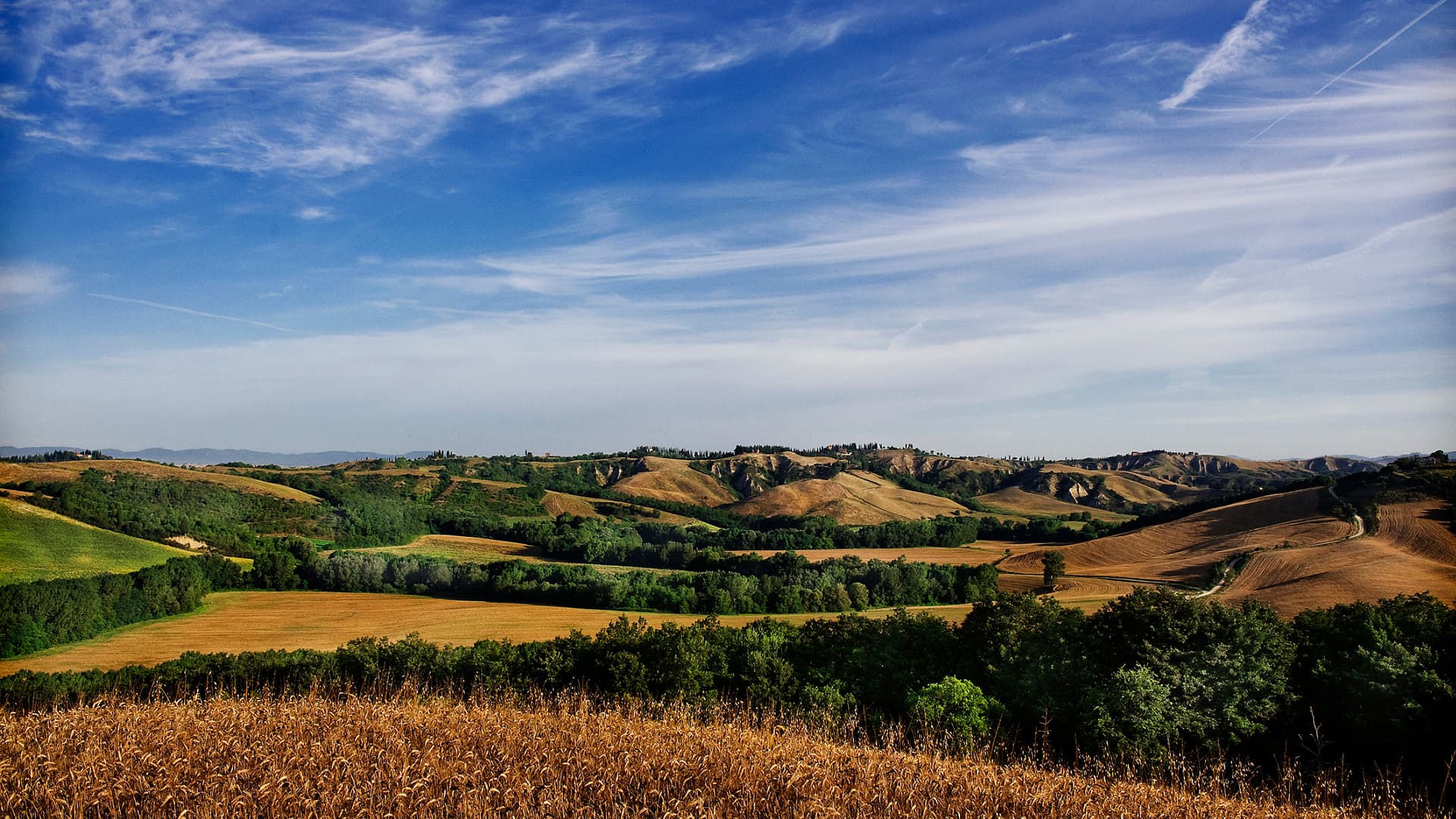 The Mezzecrete farm is nestled at the heart of the Crete Senesi, south of Siena, in Tuscany.