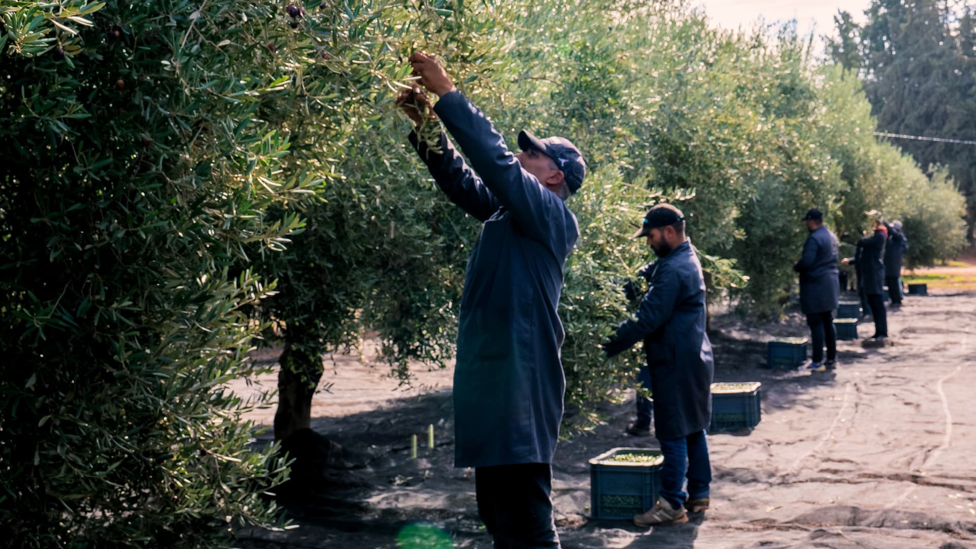 (Photo: Noor Fès)