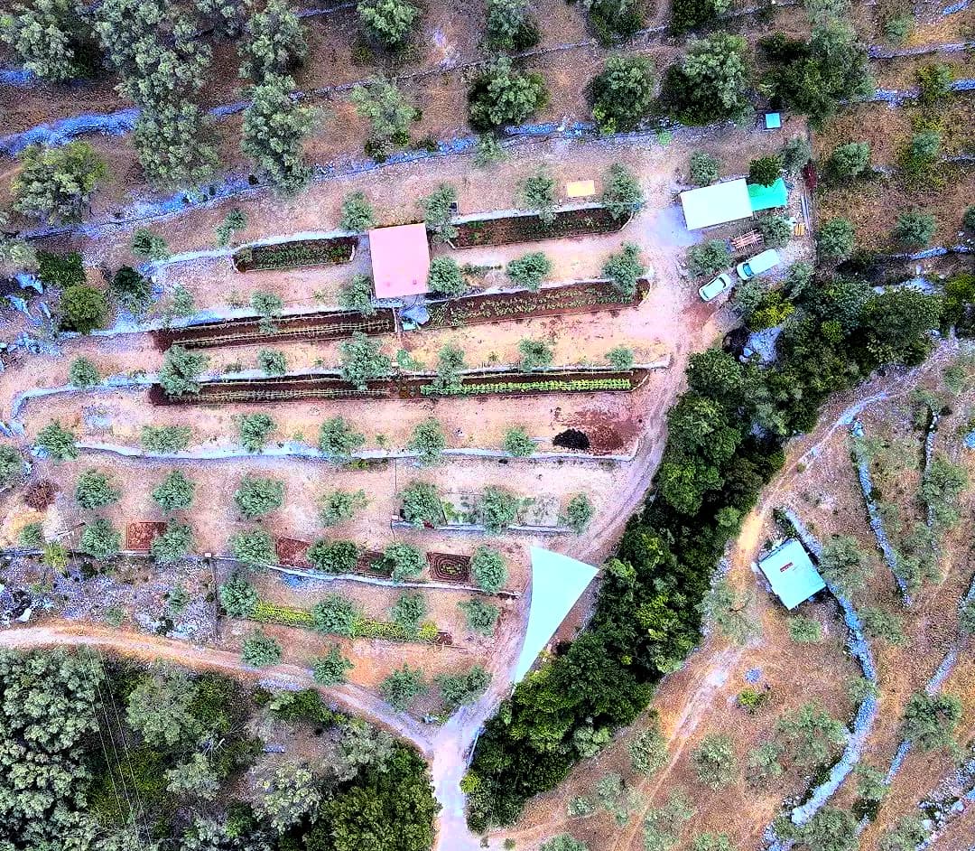 Aerial view of Lefkada Micro Farm