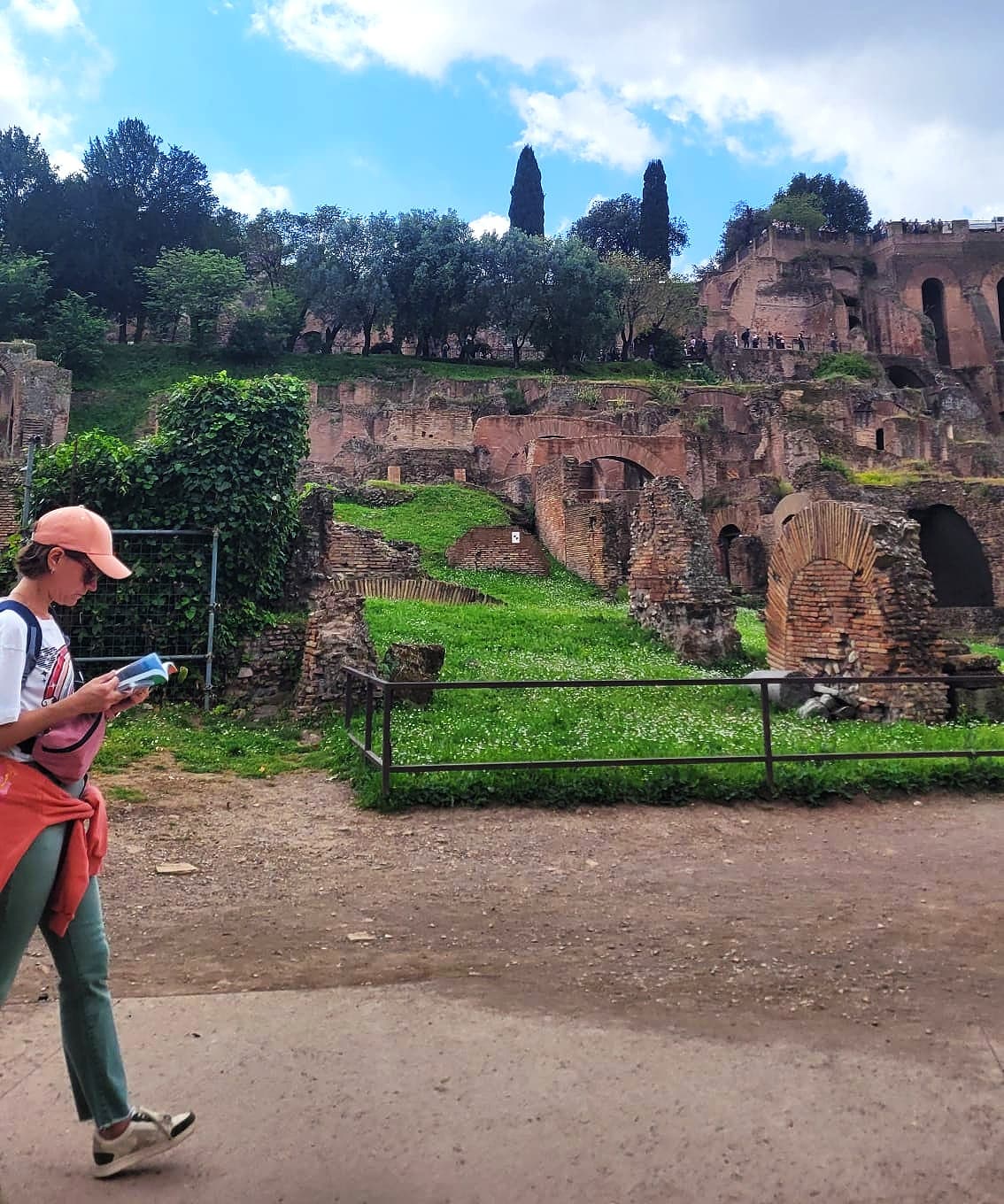 The Palatine Hill Olive Grove is one of the sites included in the oleotourism itineraries presented at the Olio di Roma IGP Festival (Photo by Ylenia Granitto)