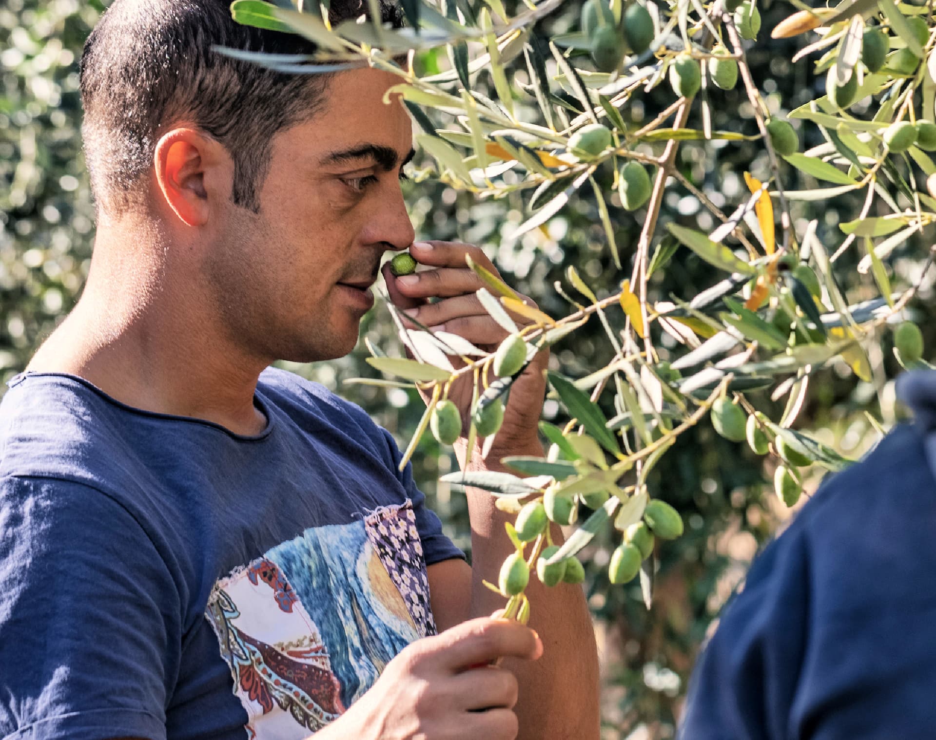 Francesco Mastrangelo, founder of Trespaldum in Molise, sees sail-powered shipping as a natural extension of the low-impact approach that shapes his olive oil production.