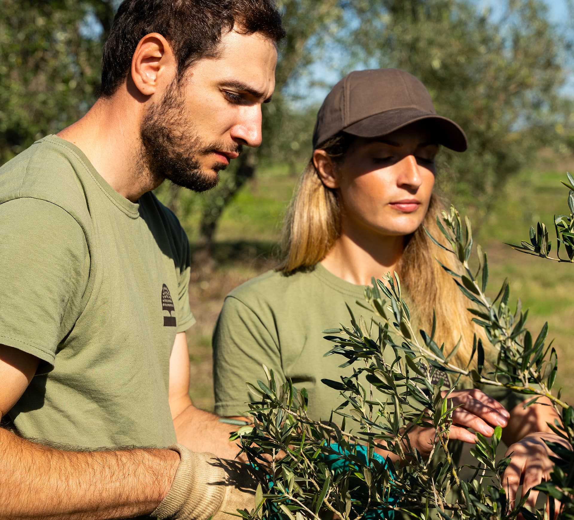 Rosa and Giorgio Bianchini, producers in central Italy, joined the sail-powered olive oil project as an extension of their data-driven, sustainability-focused approach to farming and quality.