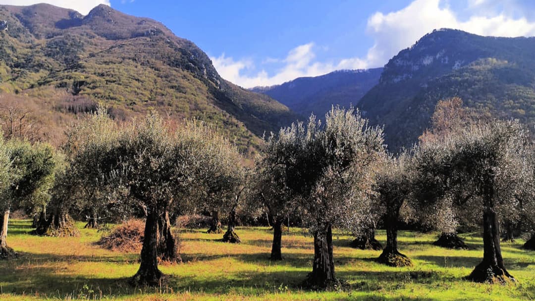Settemisure’s headquarters sits in the village of Solopaca, within the Taburno–Camposauro Regional Park, at the foothills of the eponymous Apennine massif.