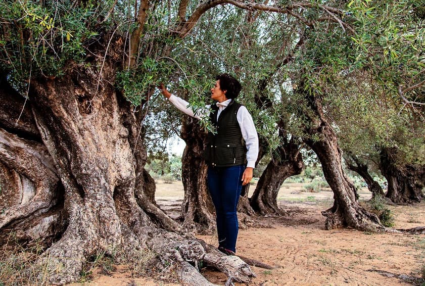 Damya founder Naouel Bouabid in her groves