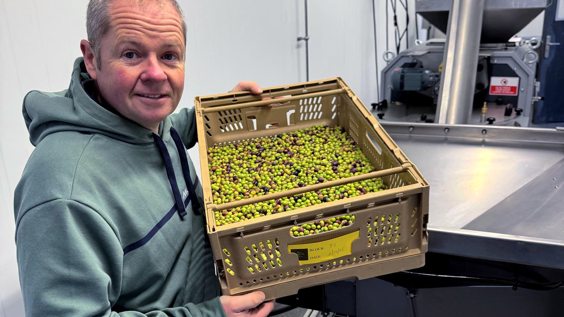 Lavorazione delle olive nel piccolo frantoio