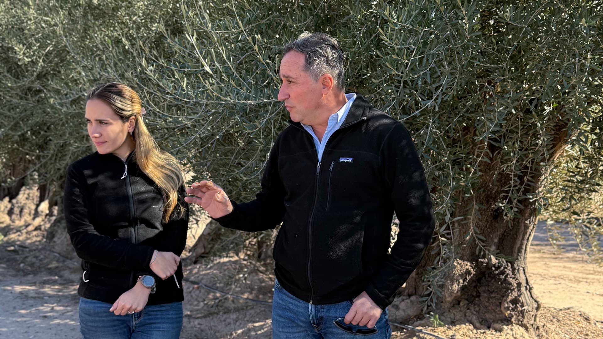 Emilio Cicero, with his daughter Valentina, among rescued century-old olive trees at the Los Inmigrantes Sanctuary in Mendoza, where the family has relocated thousands of historic specimens threatened by urban expansion.