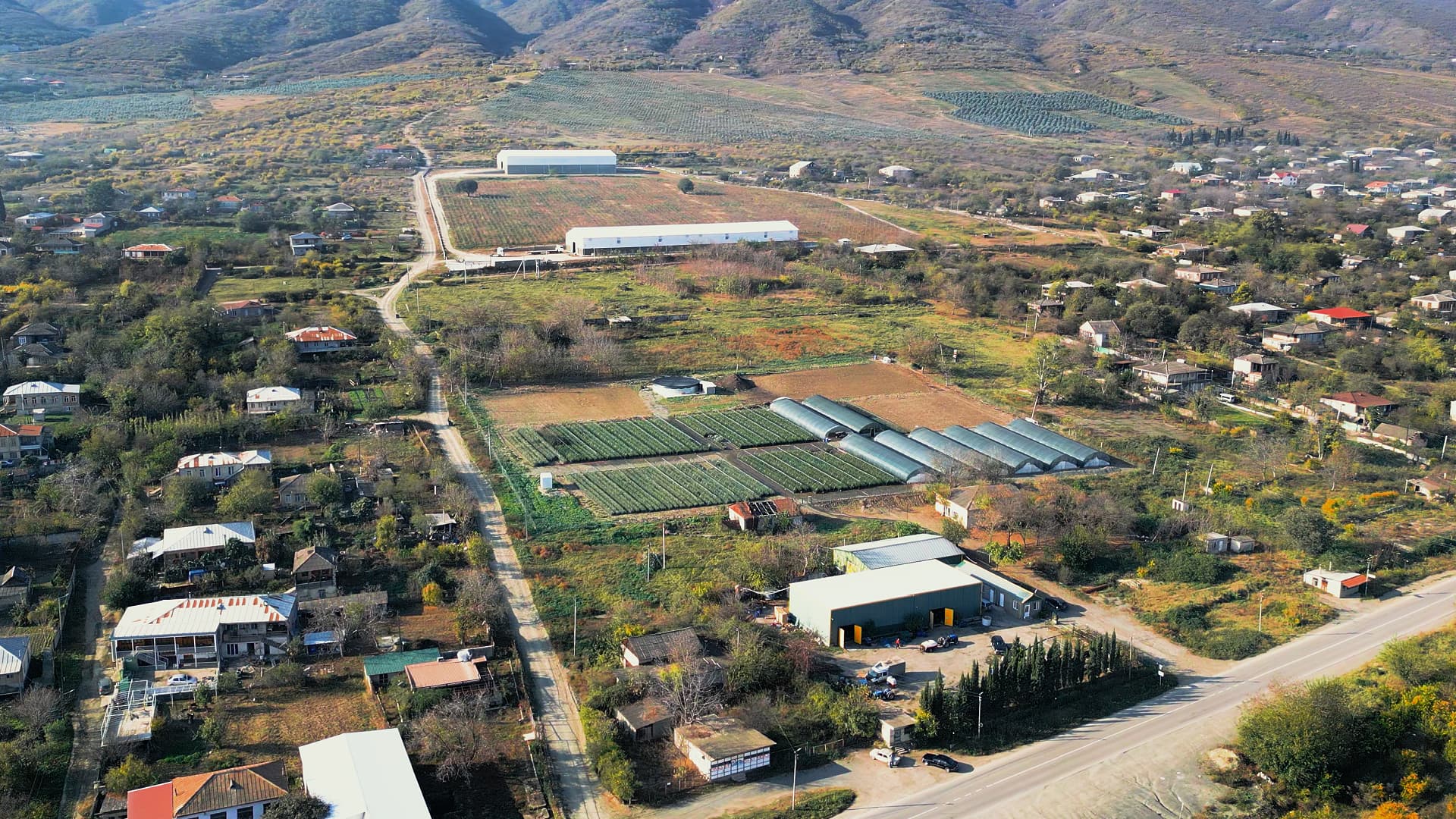 An aerial view of Georgian Olive Oil’s nursery and production facilities in Sakobo, eastern Georgia, where the company propagates olive saplings for its own orchards and supplies planting material to growers across the country.