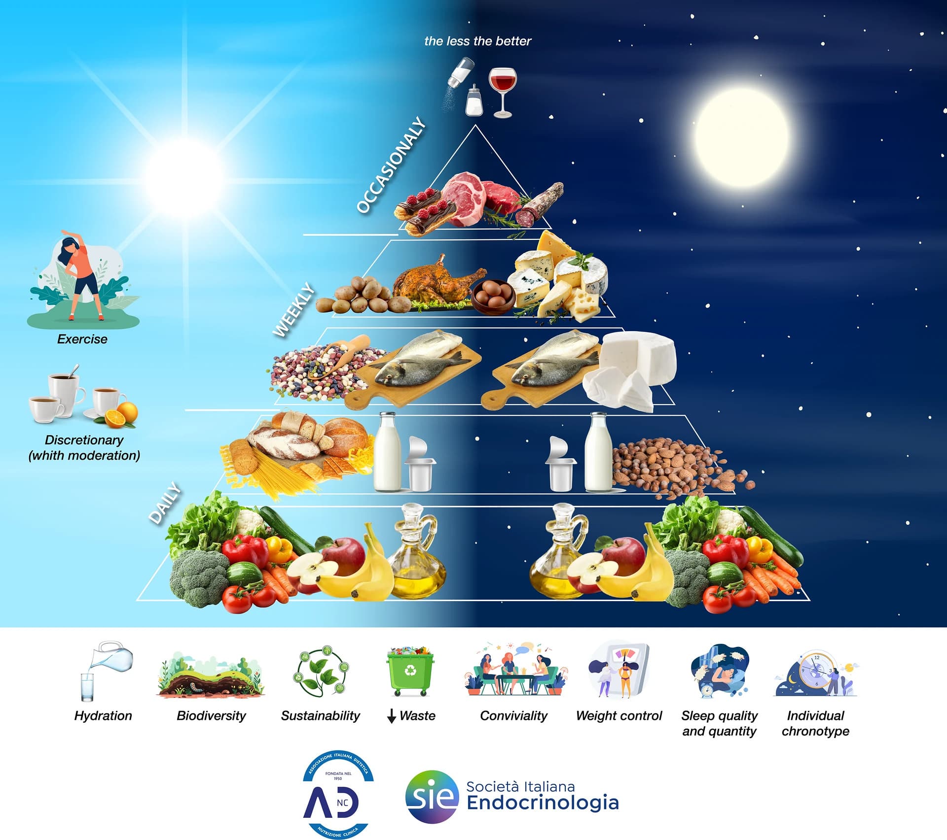 The chronotype-based Mediterranean Diet pyramid was introduced by the Italian Society of Endocrinology and the Italian Society of Dietetics and Clinical Nutrition, integrating nutrient timing into the Mediterranean Diet.