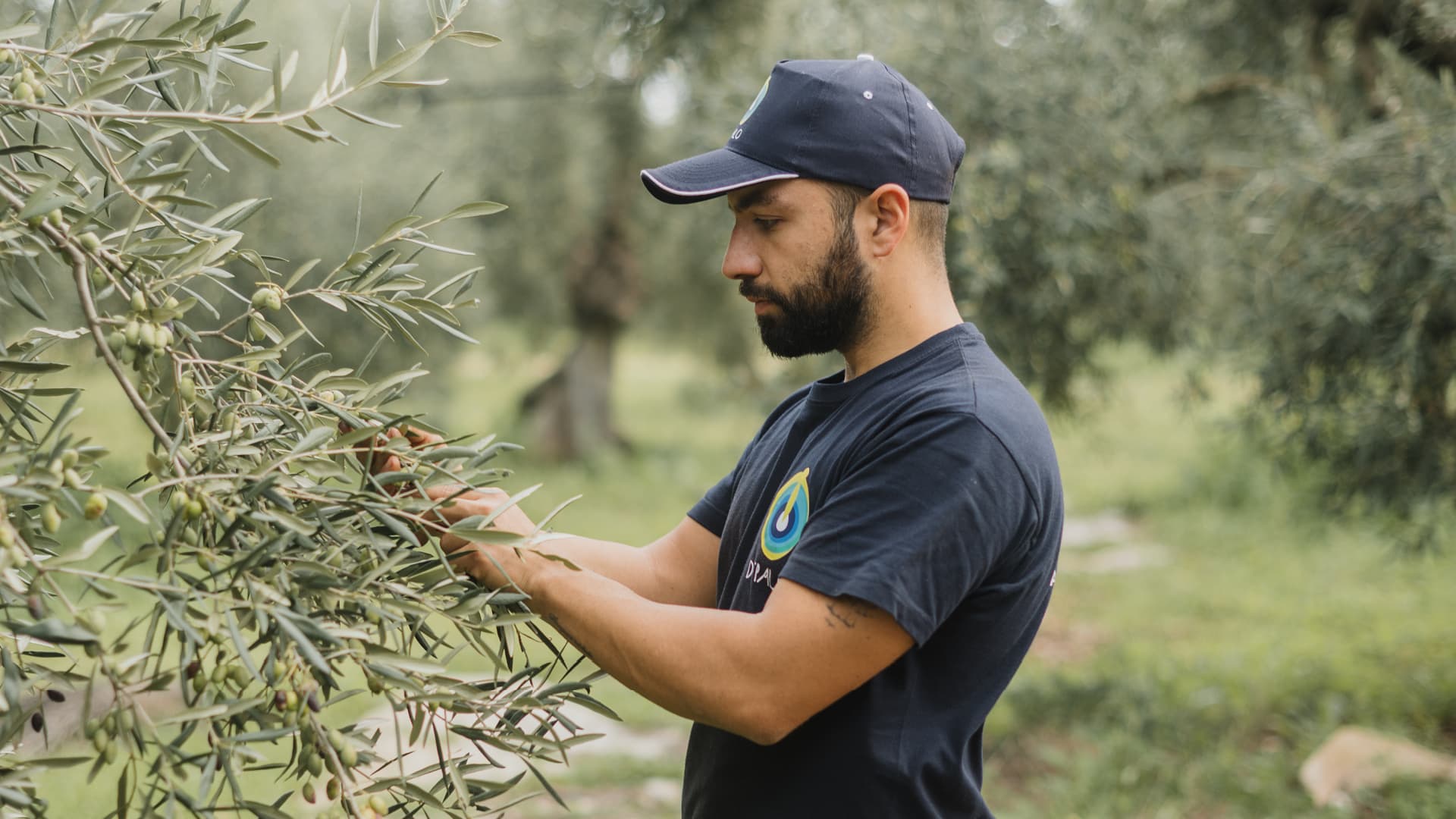 Savino De Palo and his father Luigi craft premium monovarietals and a blend from Coratina and Ogliarola Barese.