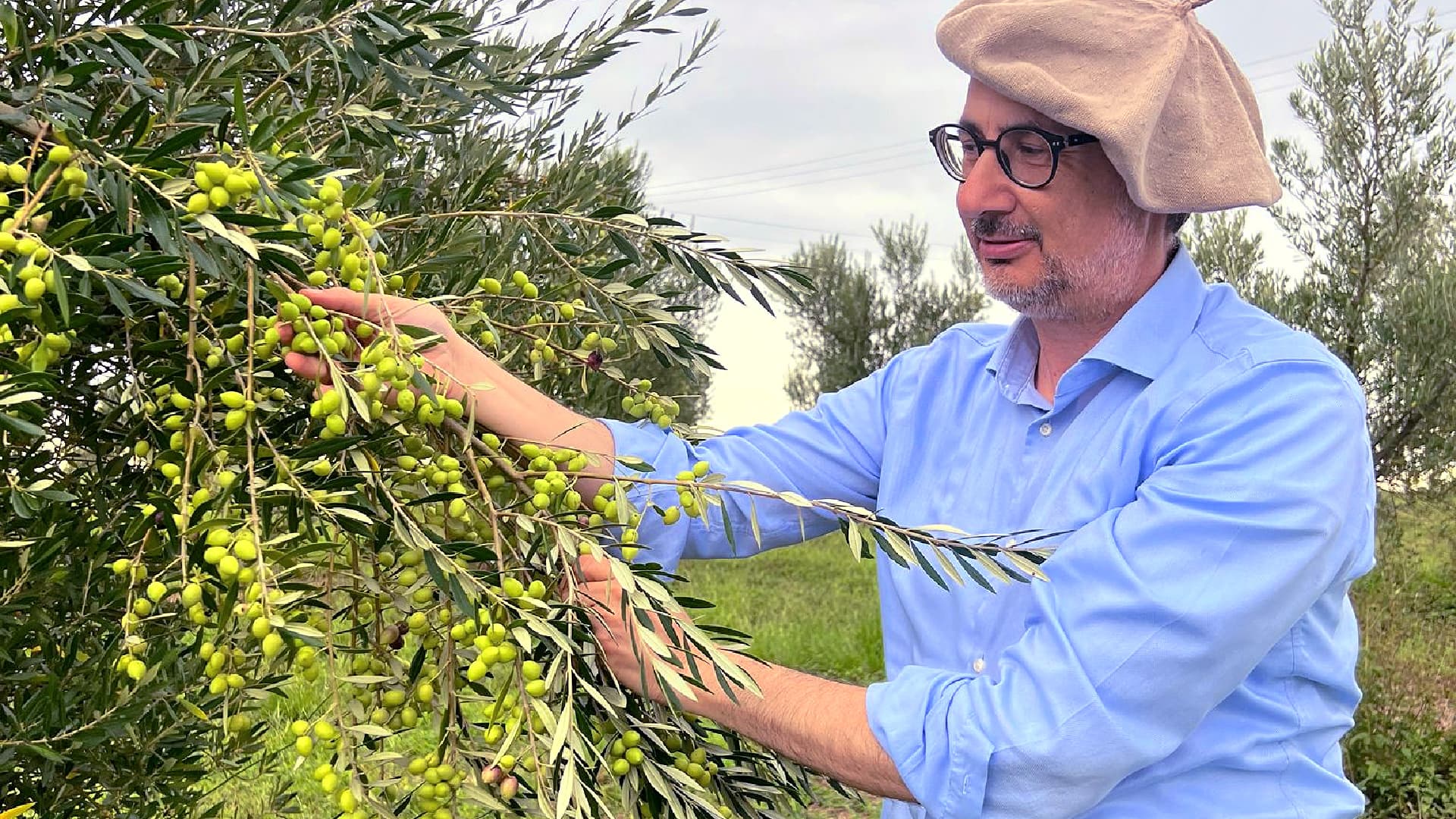 Alongside the Pisciottana, Rotondella, Frantoio and Leccino trees already present on the property, Marsicani planted new groves of Ortice, Itrana and Morcona to create new sensory profiles.