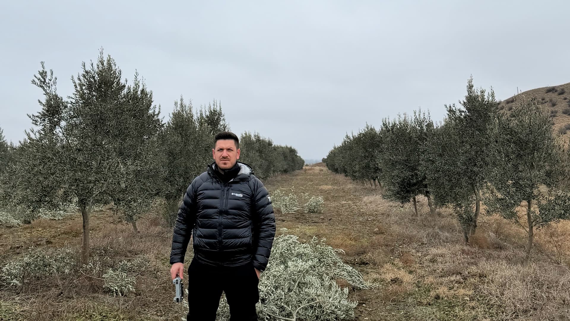 Kemal Kahraman se encuentra en un olivar de Gemlik recientemente podado en la región de Kakheti, en Georgia, donde una cuidadosa preparación invernal y una gestión profesional son esenciales para mantener la productividad y proteger los árboles del frío intenso.