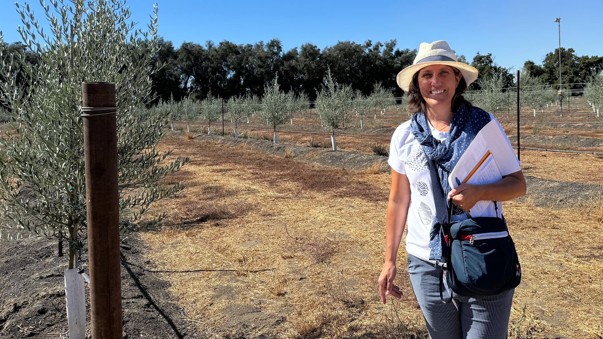 Maja Podgornik, head of the Institute for Olive Growing at the Science and Research Centre Koper, visits an olive grove.
