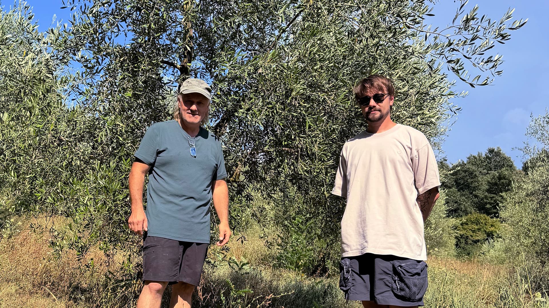 Sandi Babič and his son, Rok, in the family olive grove near Marezige, where careful orchard management has helped limit fruit drop.