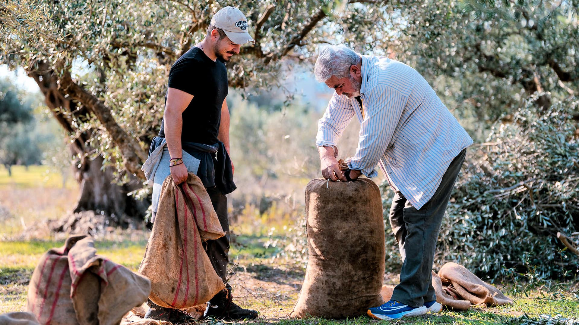 Aggelos Giannoutsos and father Dimitris in the olive groves (Photo: Yapapi/Panagiotis Giannoutsos)