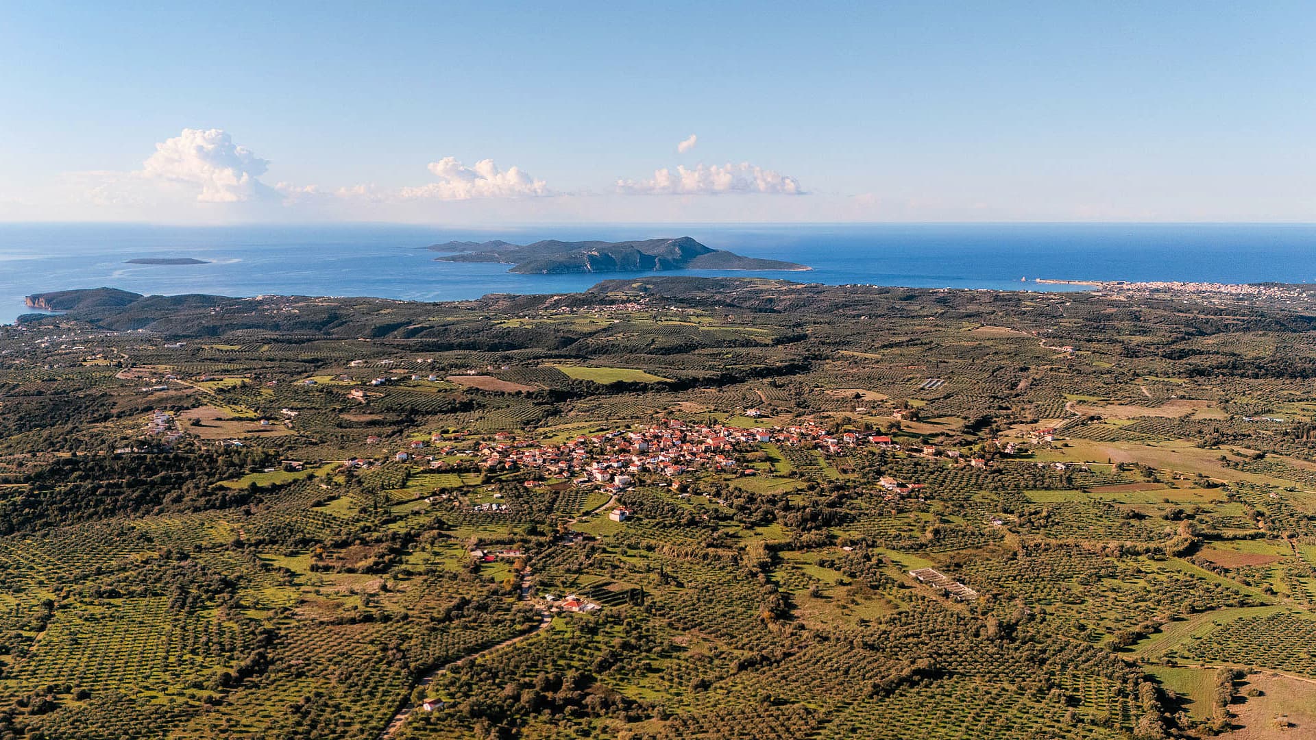 Olive groves surround the village of Evangelismos in the southern Peloponnese, where Yapapi produces its extra virgin olive oil near the coast of Messenia. (Photo: Yapapi/Panagiotis Giannoutsos)