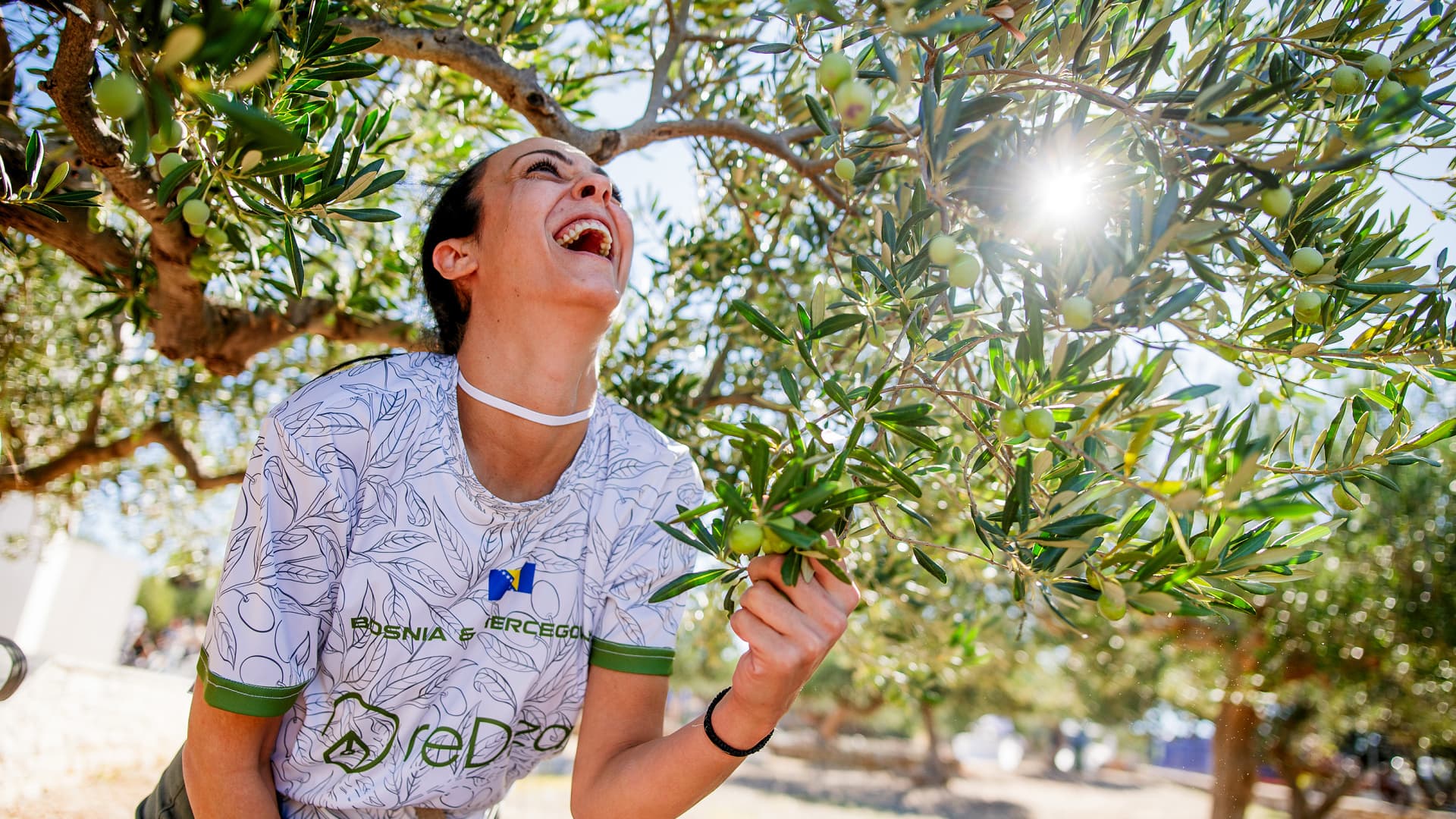 The ninth World Olive Picking Championship will bring teams from Europe and the United States to Brač to celebrate traditional harvesting and Croatian olive-growing culture.