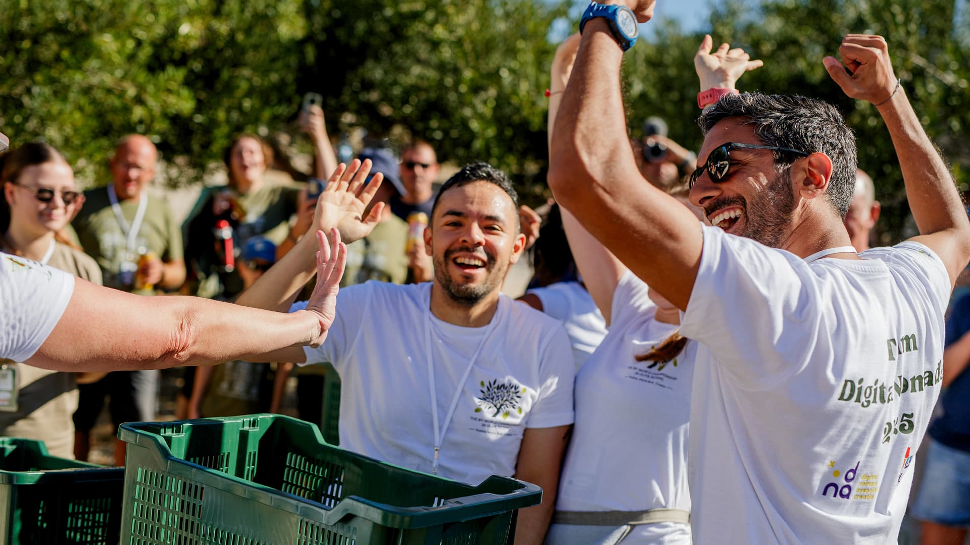 Competitors race against the clock to hand-pick as many olives as possible during the World Olive Picking Championship on the Croatian island of Brač.