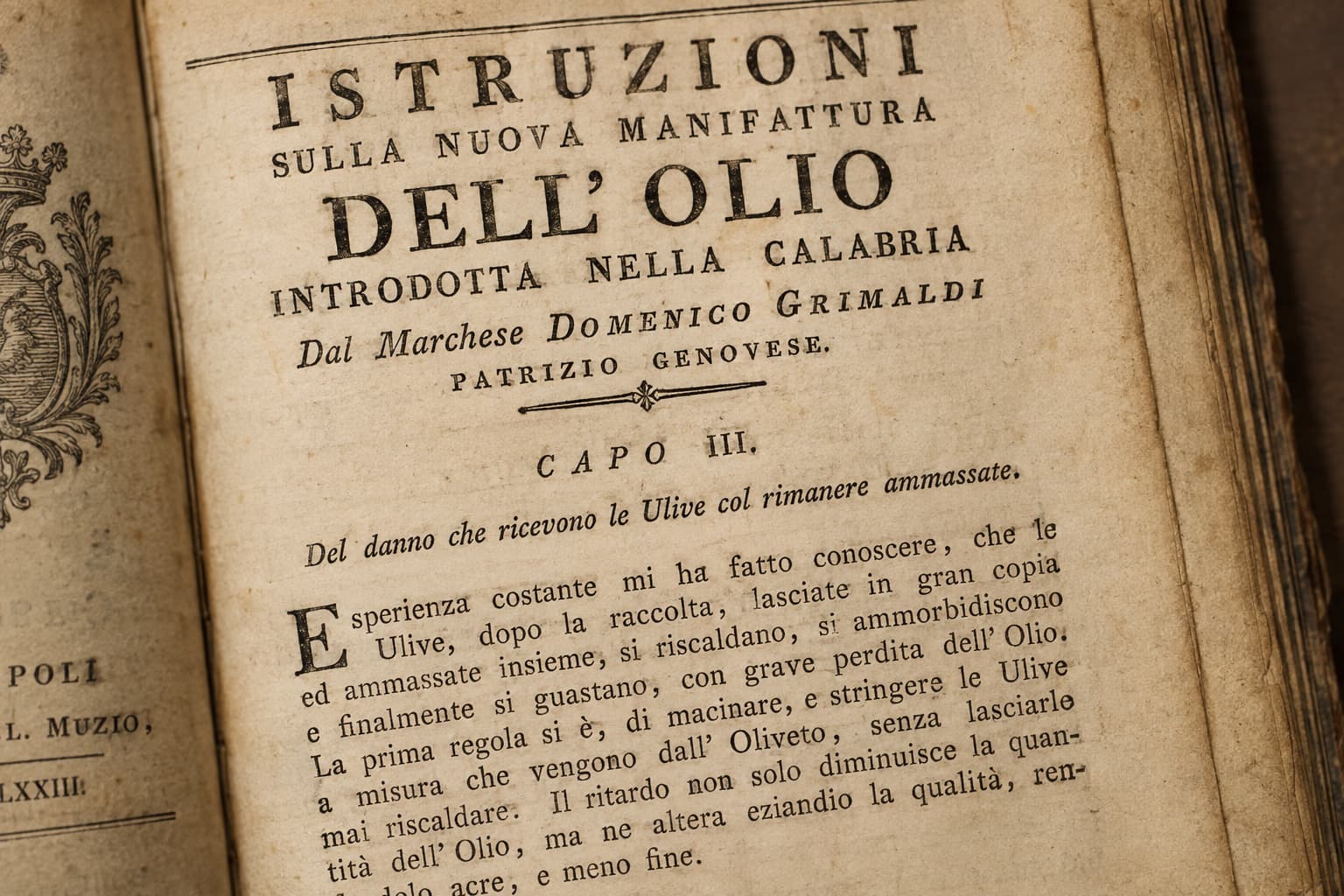 Ricostruzione generata dall’intelligenza artificiale di una pagina del trattato di Domenico Grimaldi del 1773 sulla produzione dell’olio d’oliva, che evidenzia il suo monito secondo cui le olive raccolte non dovrebbero essere lasciate ammucchiate prima della molitura.