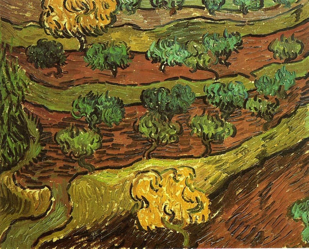 Vincent van Gogh, Olive Trees on a Hillside, 1889, Van Gogh Museum, Amsterdam (Vincent van Gogh Foundation)