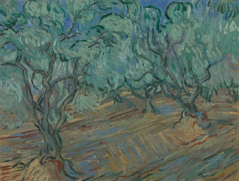 Vincent van Gogh, Olive Grove, 1889, Van Gogh Museum, Amsterdam (Vincent van Gogh Foundation)
