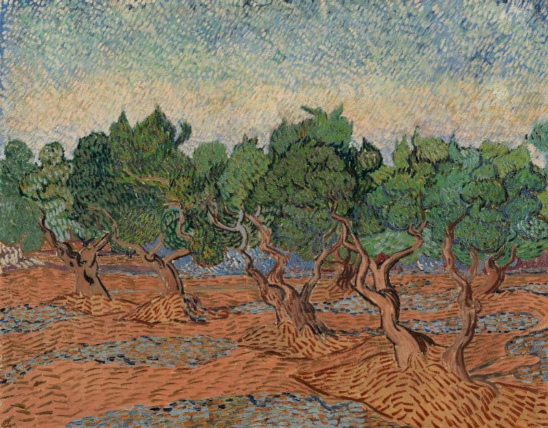 Vincent van Gogh, Olive Grove, 1889, Van Gogh Museum, Amsterdam (Vincent van Gogh Foundation)