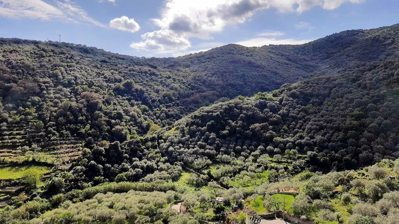The newly designated Blue Zone of Bolotana is nestled in the mountainous Marghine region of central Sardinia. (Photo by Giacomo Nieddu, Terracuza)